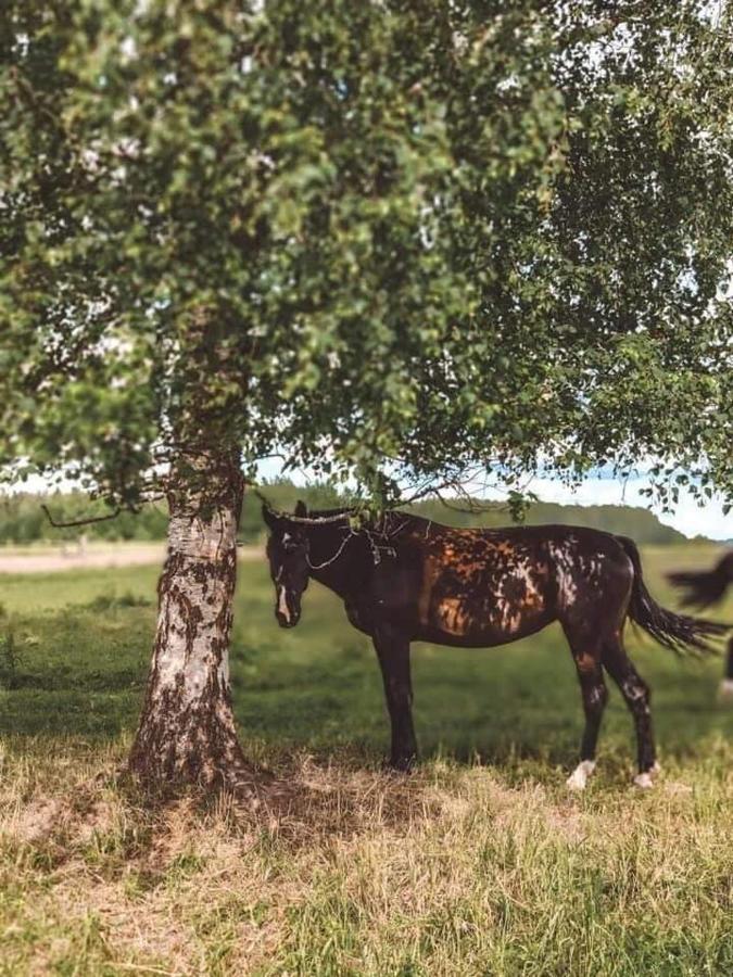 Stamerienas Apartamenti Екстер'єр фото